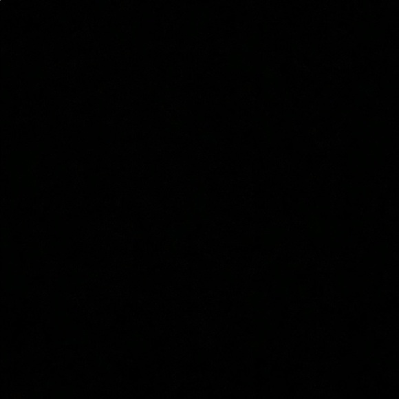 Meet your Posher, Gracie - Picture 1 of 1